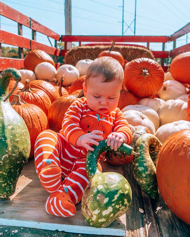 Baby in Pumpkin Filled Truck