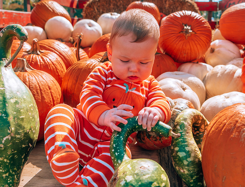 Baby playing with pumpkin on back of truck