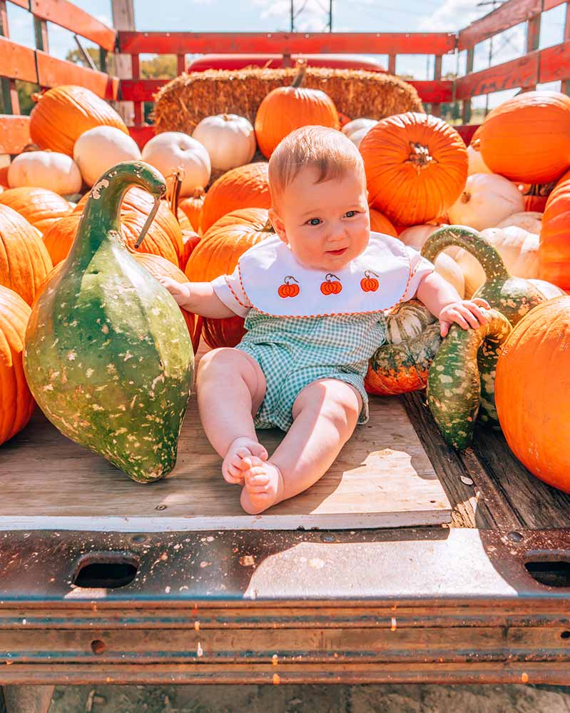 Baby in Pumpkin Truck