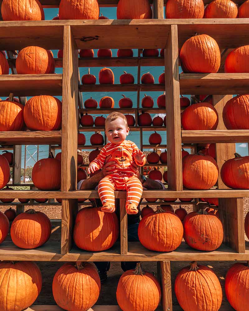 Baby on window of pumpkin house