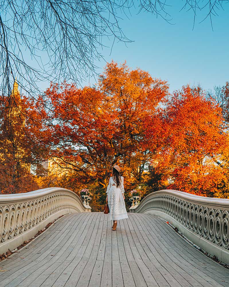 Kristi Hemric (Instagram: @khemric) crosses Central Park’s Bow Bridge during peak fall foliage.