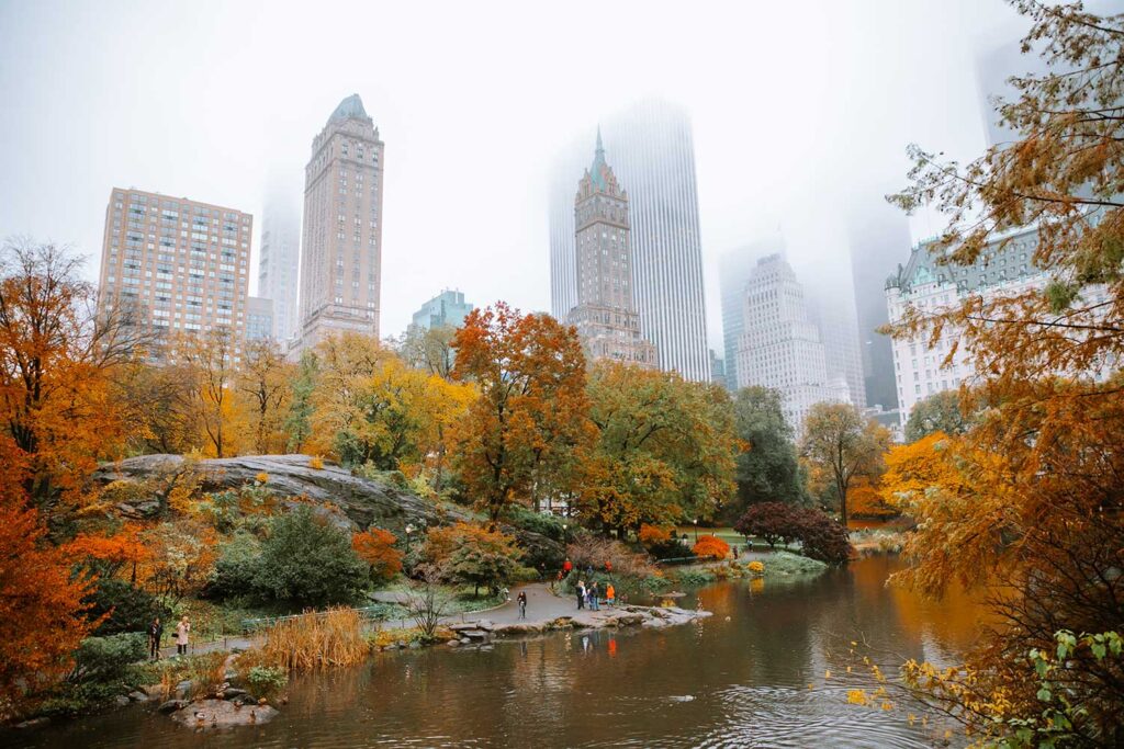 The view from Gapstow bridge on a foggy NYC afternoon in the autumn. Peak fall foliage in the park!